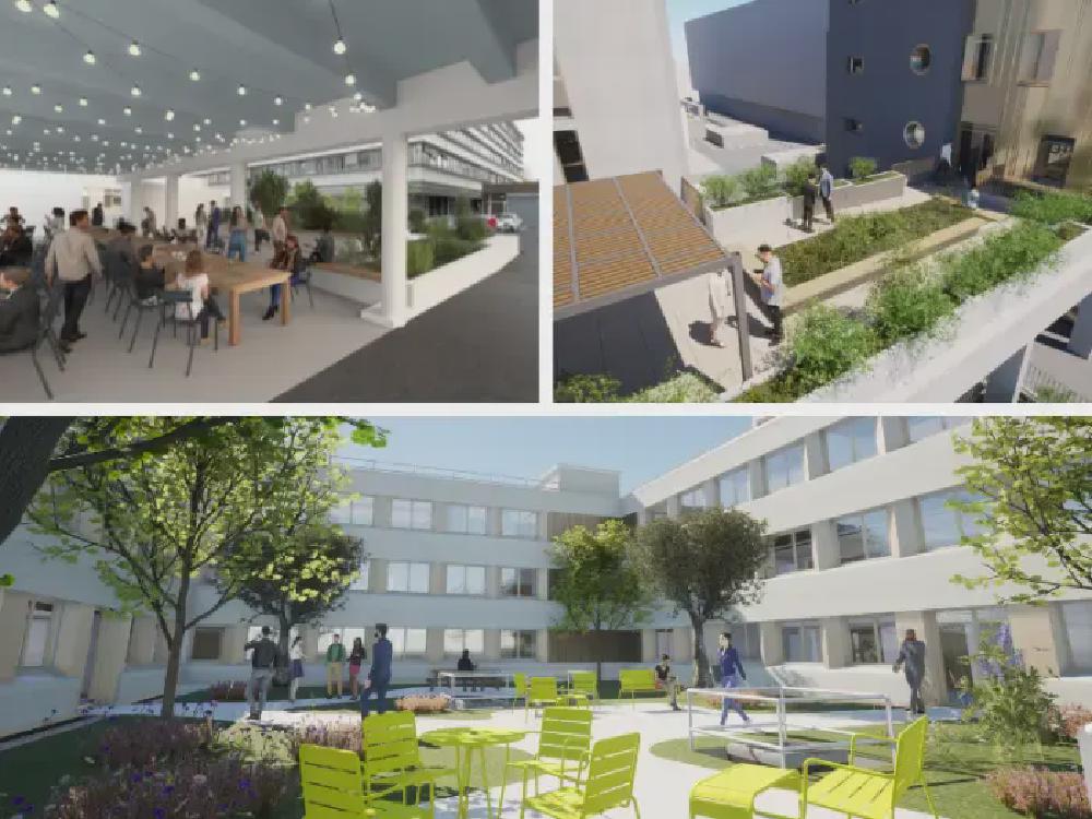 Image 2 projet lorillard-carsat