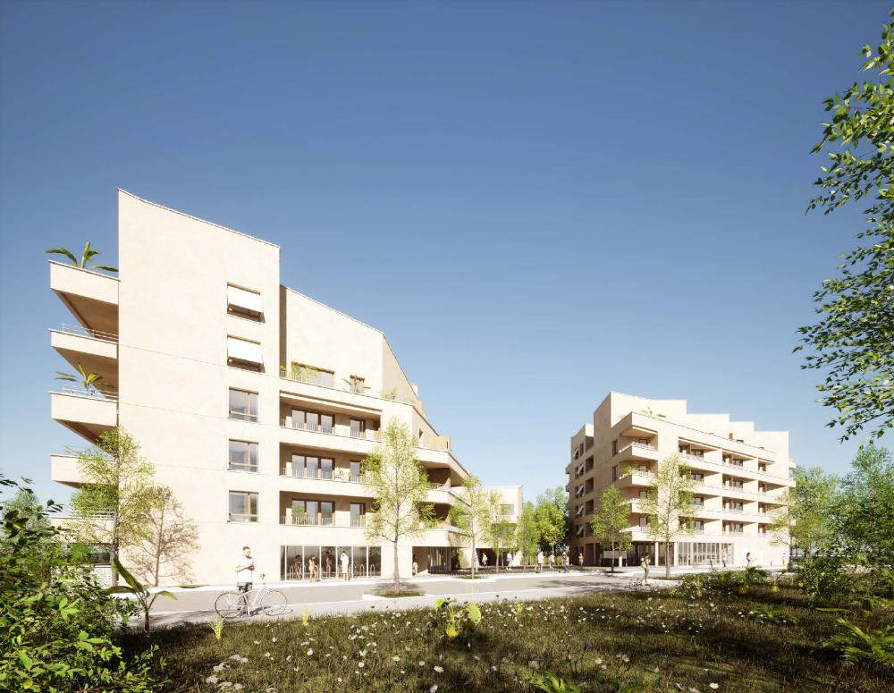Image 1 projet lorillard-terre-denvol