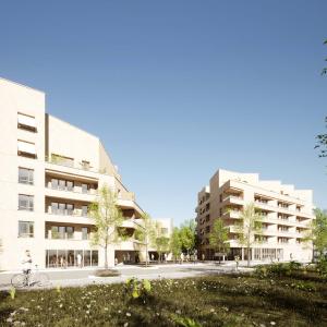 Terre d'envol preview